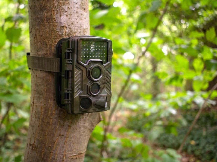 Wildlife_trail_camera_attached_to_a_tree_c699ba0a-6740-432f-b429 ...