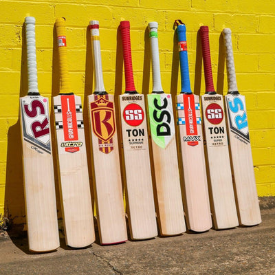 Best Cricket Bats