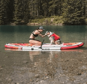 Blackfin Model XL Inflatable Paddle Board Review with dog on the board