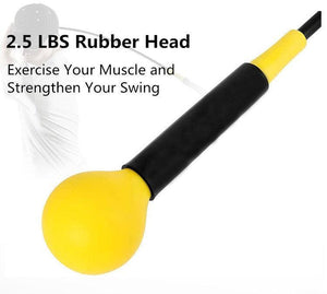SpeedPro Swing Trainer - Sports Engineer